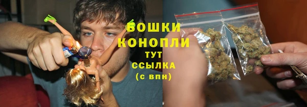 apvp Аркадак