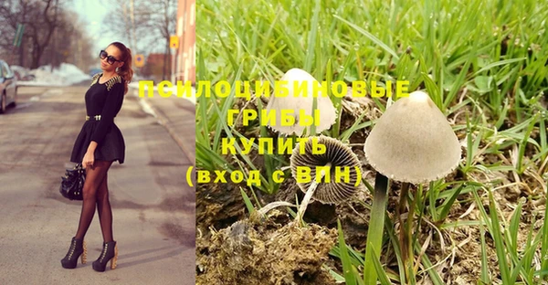 эйфоретик Арсеньев
