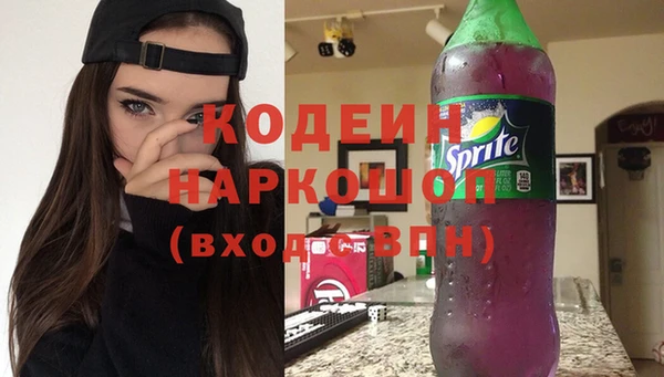 эйфоретик Арсеньев